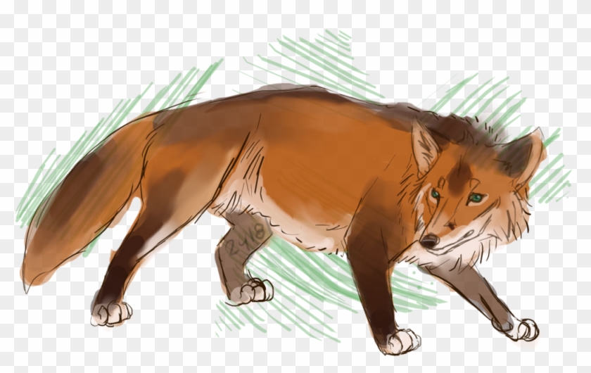 5t9ap8c - Red Fox Clipart #5797794