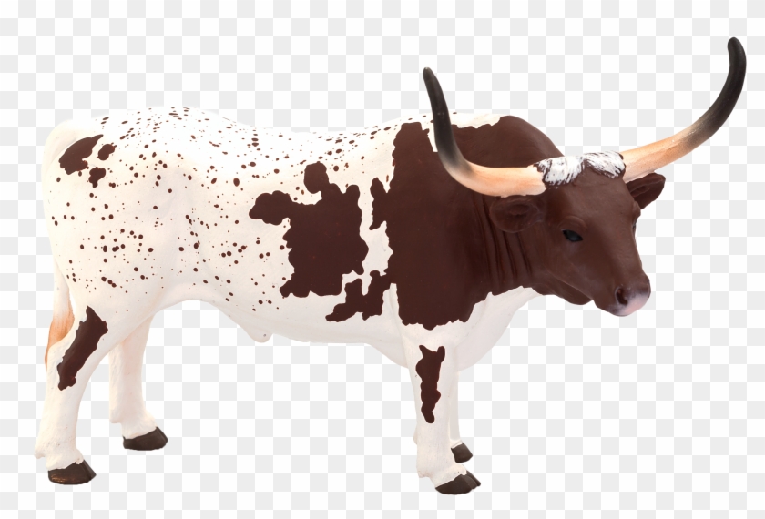 Texas Longhorn, English Longhorn, Zebu, Livestock, Clipart #5798579