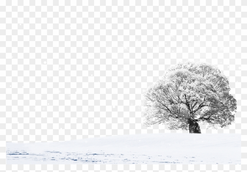 Landscape Design Transprent - Snow Clipart