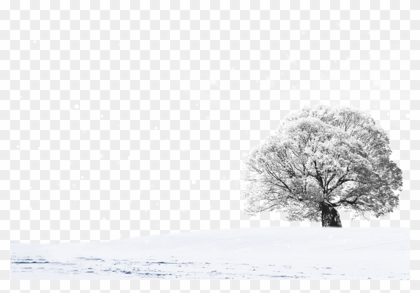 Landscape Design Transprent - Snow Clipart #5798736