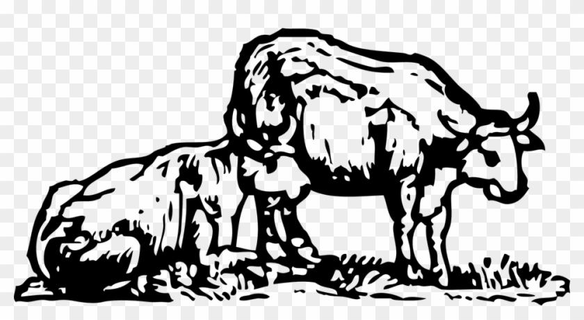Oxen Clip Art Png Black And White Transparent Png #5798805