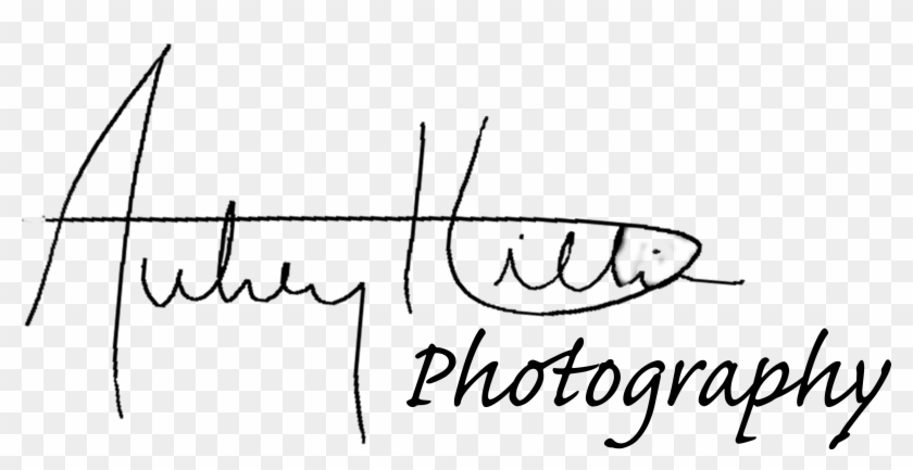 Line Art Clipart #5799815