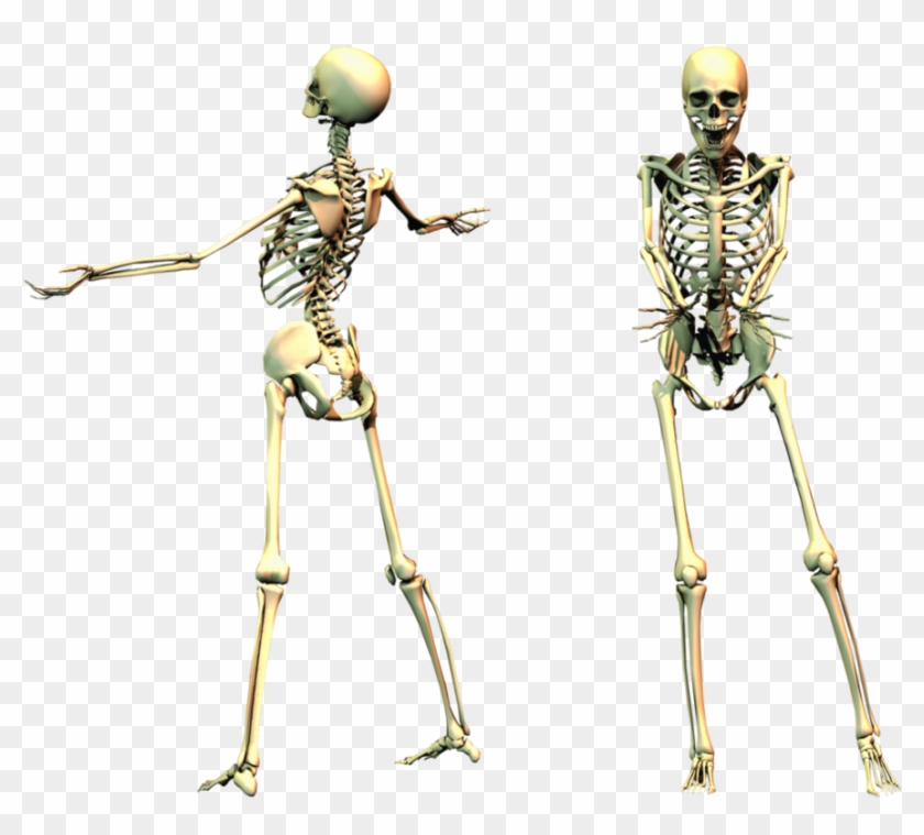 Spooky Skeleton Png Clipart