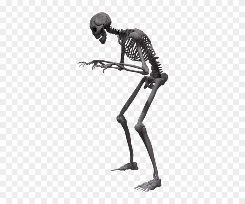 Human Skeleton Clipart #580826
