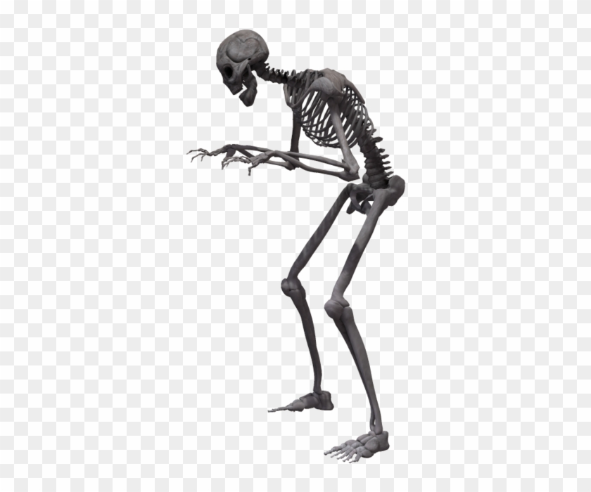 Human Skeleton Clipart