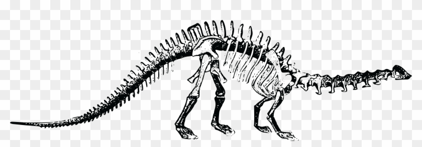 Svg Black And White Stock Mouse Free On Dumielauxepices - Dinosaur Skeleton Clipart - Png Download