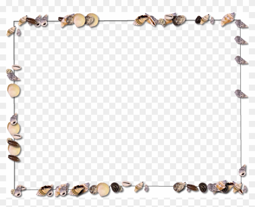 1024 X 787 7 - Sea Shell Frame Png Clipart
