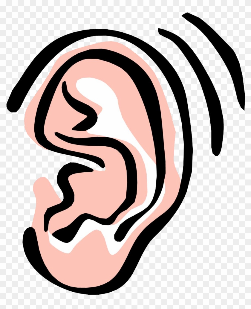 Ear Clipart For Kids 3 - Ear Clipart Transparent Background - Png Download