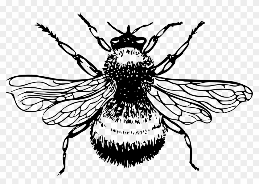 This Free Icons Png Design Of Bumble-bee Clipart #583468