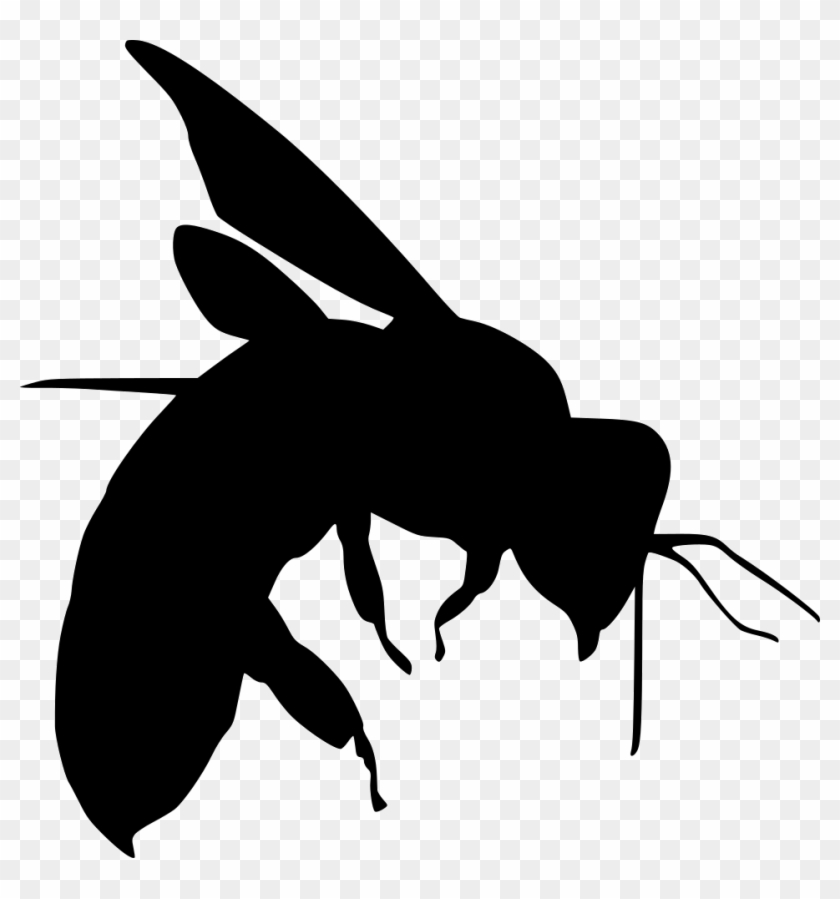 Png File Svg - Illustration Clipart