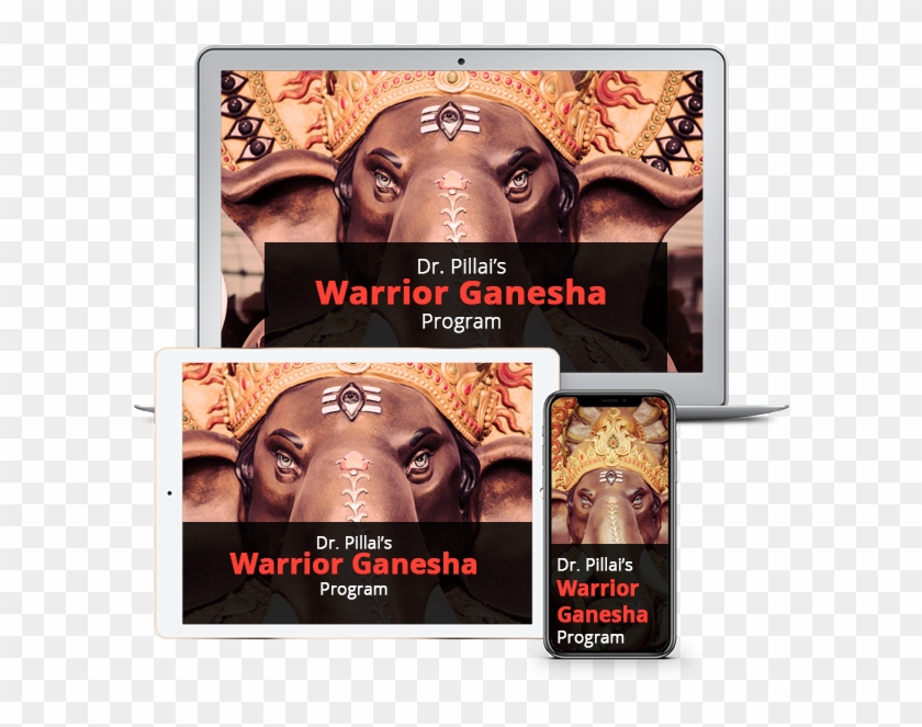 Enroll In Dr - Indian Elephant Clipart #584289