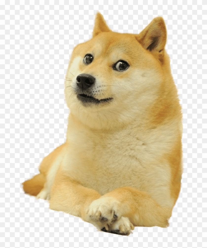 Doge Full Smiling - Doge Meme Transparent Clipart #584346