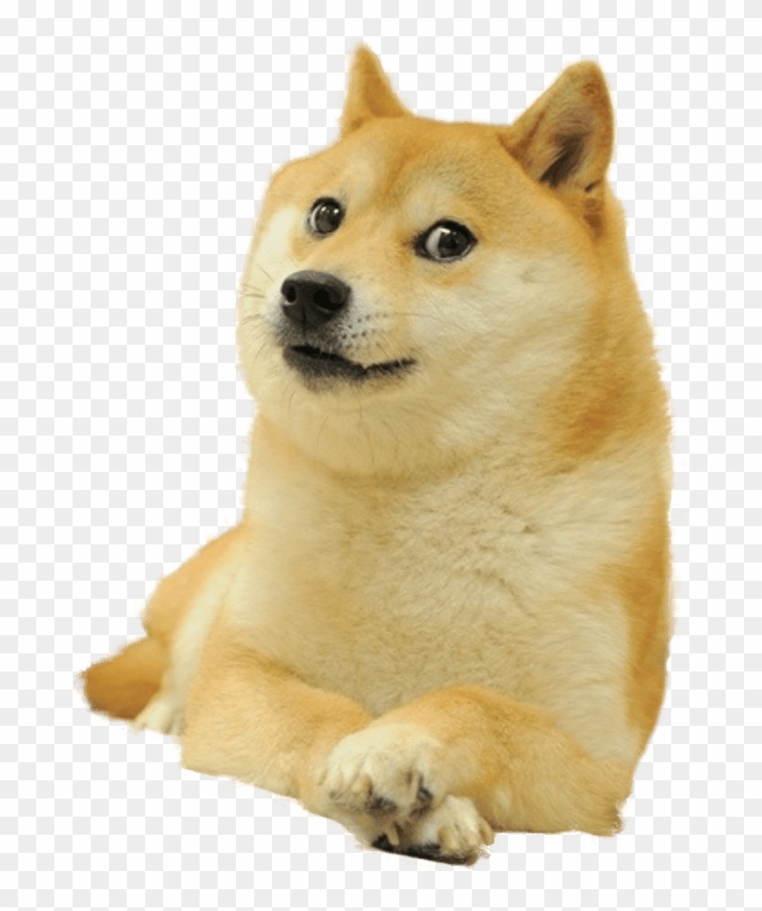Doge Full Smiling - Doge Meme Transparent, HD Png Download