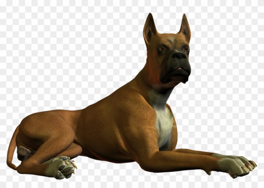 Dog Transparent Png Pictures Clipart