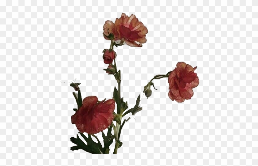 Flower Sticker - Flower Aesthetic Png Clipart