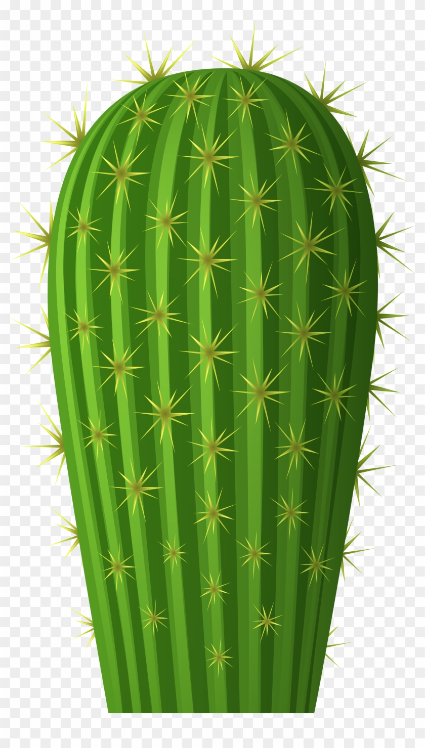 Cactus Png Clip Art Image - Cactus Png Transparent Png #586233