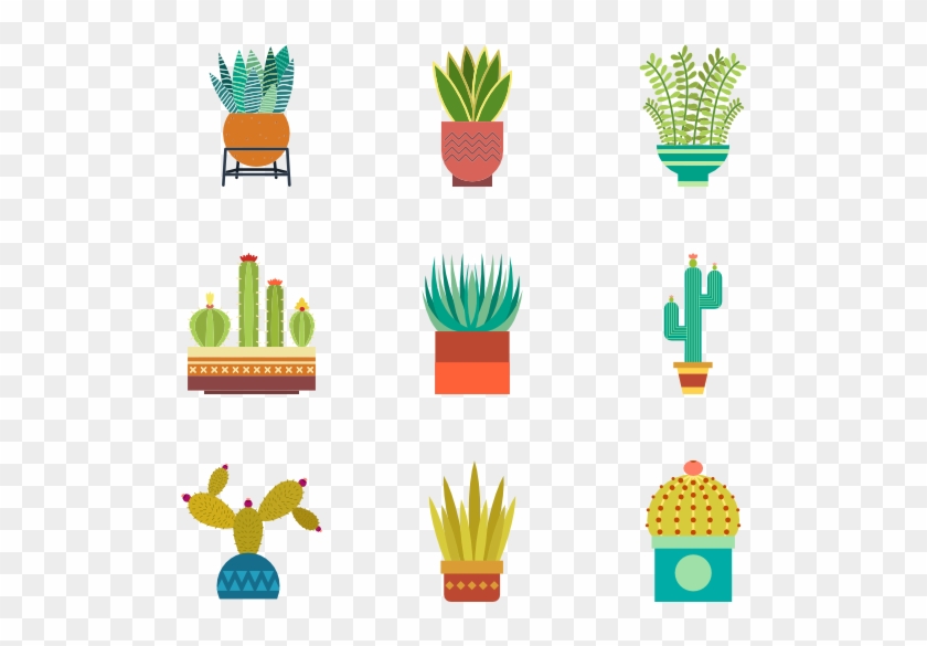 Cactus Collection - Kaktüs Icon Clipart