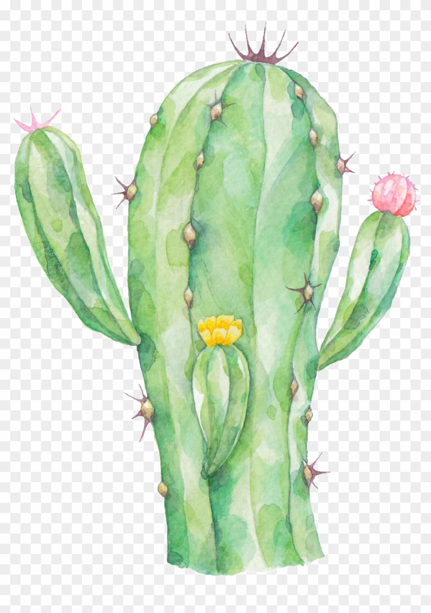 Radiation Proof Cactus Png Transparent Clipart