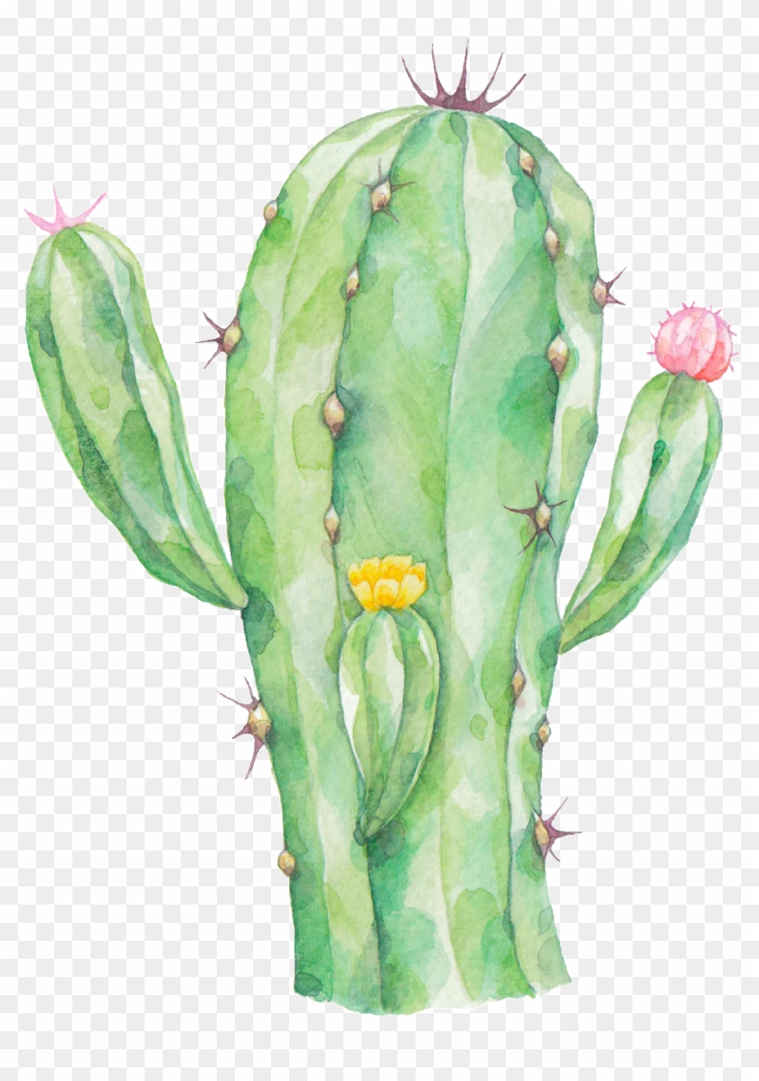 Radiation Proof Cactus Png Transparent Clipart #586422