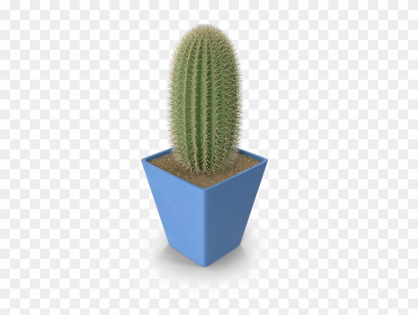 Saguaro Cactus Png Photo - Weberocereus Clipart #586698
