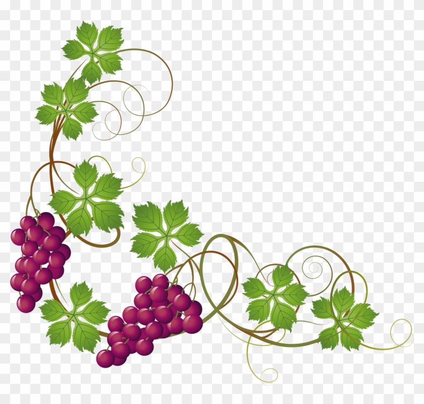 Png Freeuse Download Common Grape Vine Grape Leaves - Wine Grapes Clip Art Transparent Png