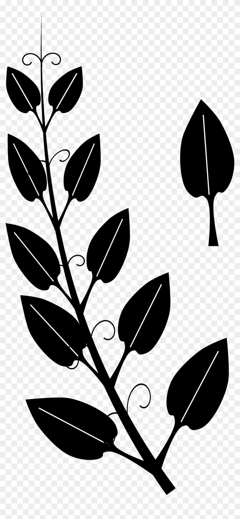 This Free Icons Png Design Of Stylized Vine Clipart #587028