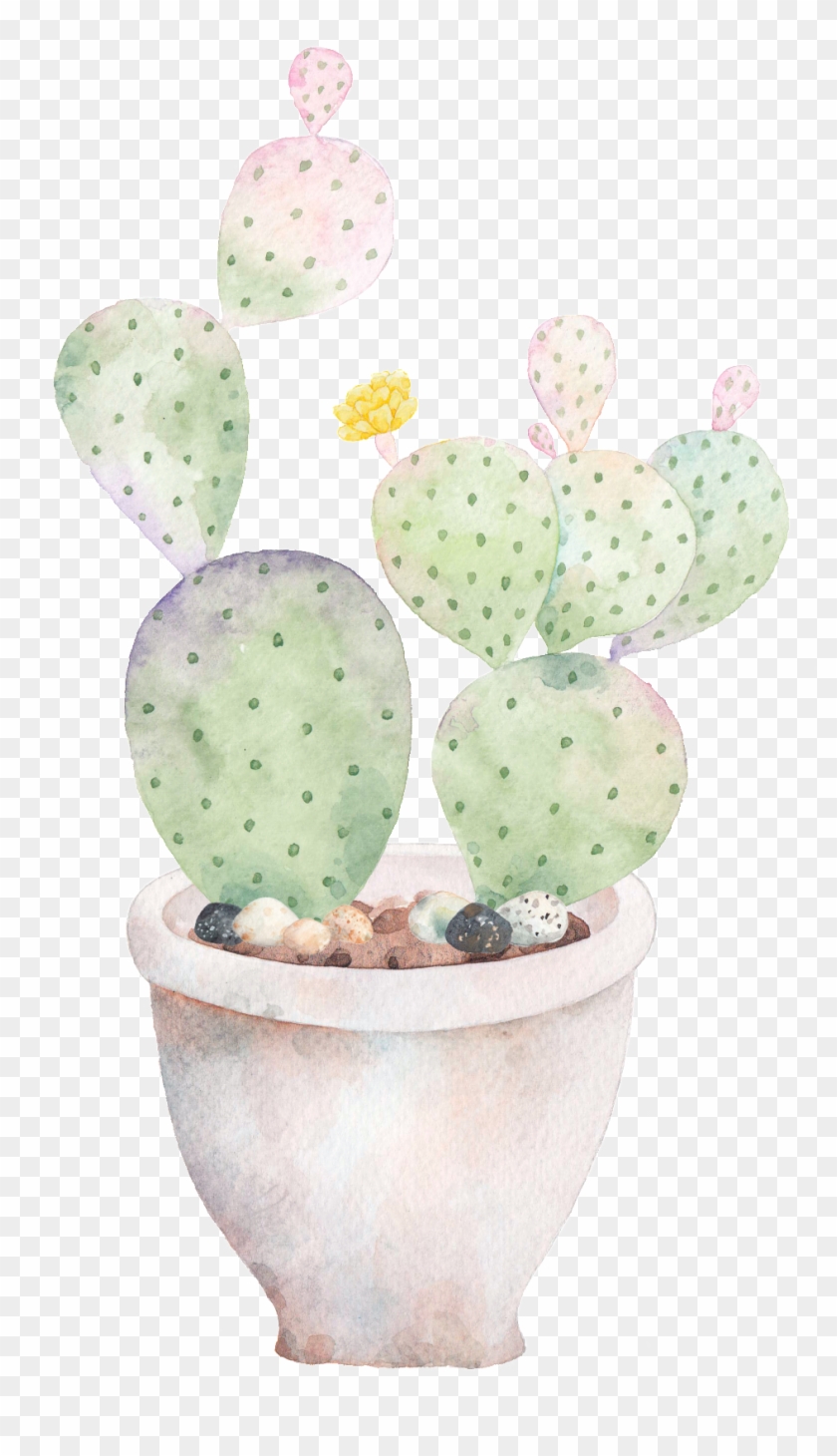 Hand Painted A Plate Of Cactus Png Transparent - Cactus Clipart