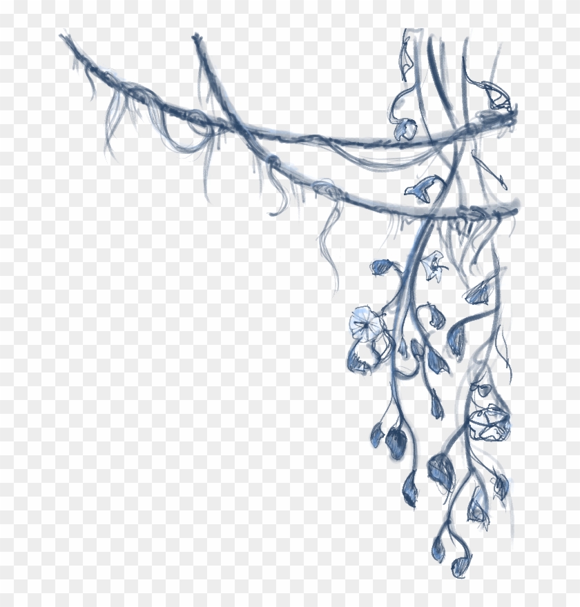 Vines-transparent - Drawing Clipart