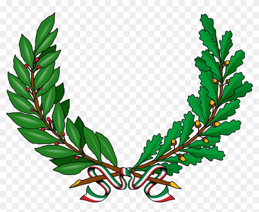 2000 X 1547 3 - Vines Clip Art - Png Download