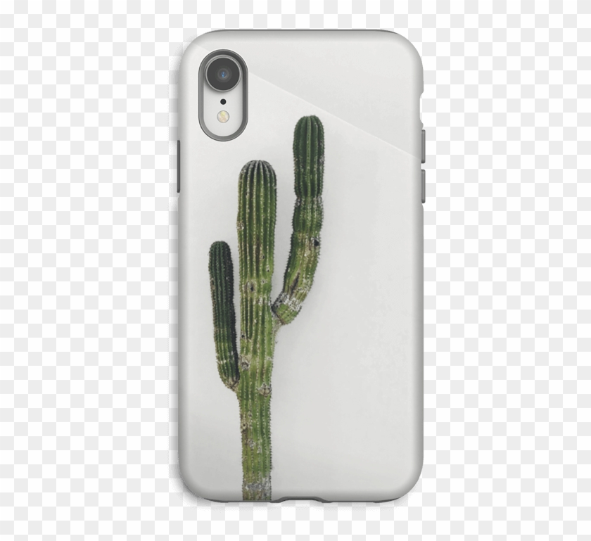 The Single Cactus Case Iphone Xr Tough - Weberocereus Clipart