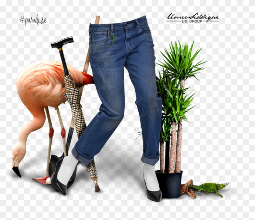 Stories - Grass Clipart #588197