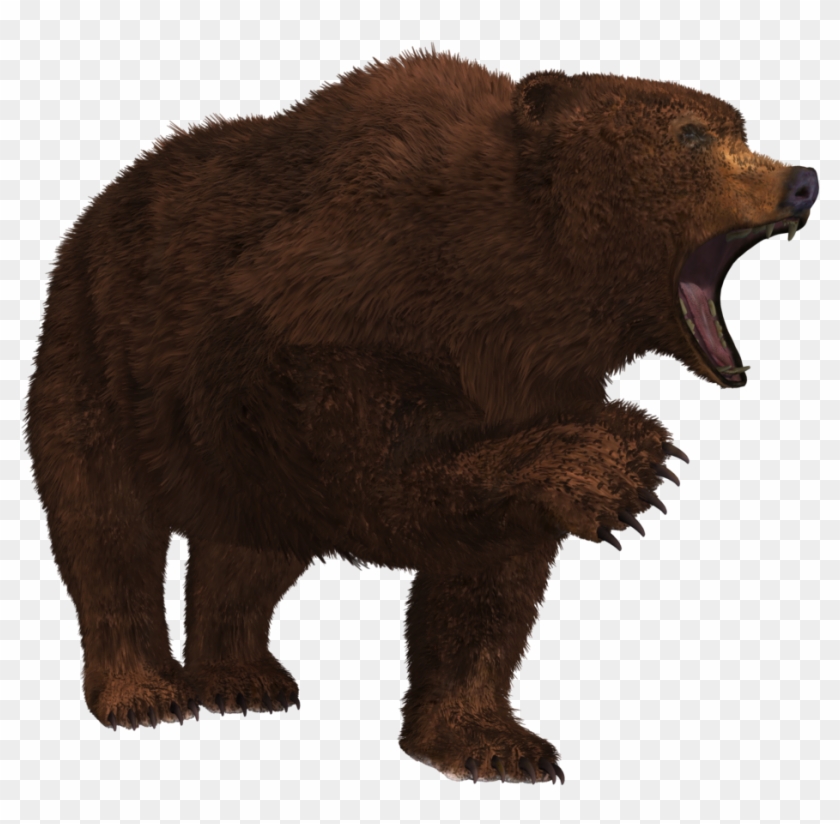 Bear Png - Growling Bear Png Clipart
