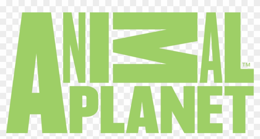 Animal Planet - Animal Planet Network Logo Clipart #589468