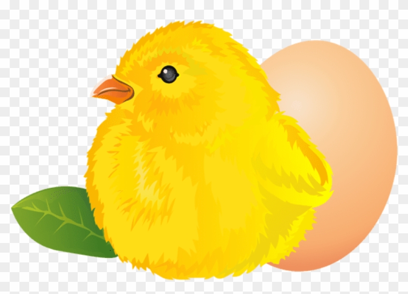 Download Easter Chicken Png Images Background - Canary Clipart #589505
