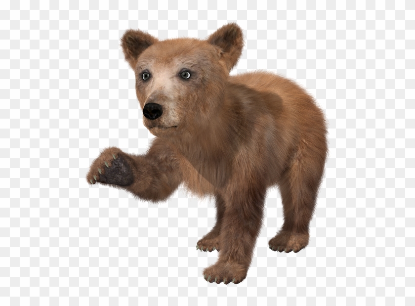 Bear Png High-quality Image - Brown Bear Cub Png Clipart #589847