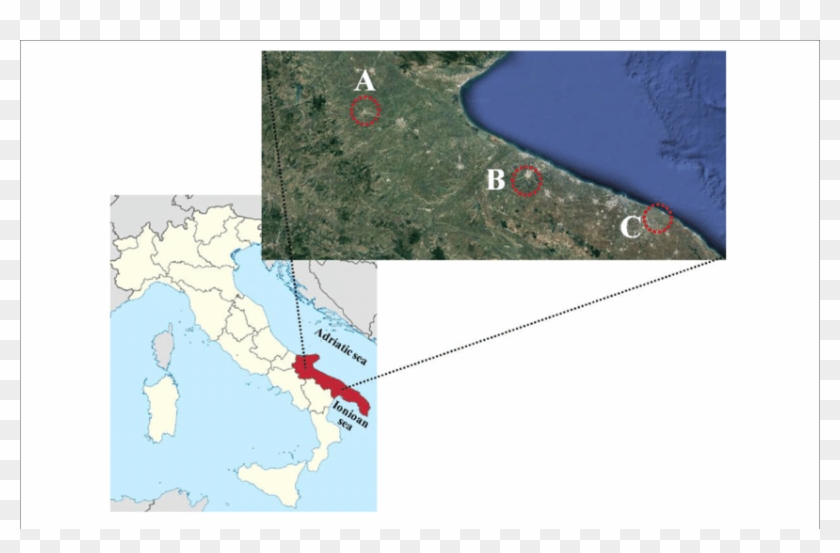 Map Of Italy With Puglia Region In Red And The Areas - Location Of Italy Clipart