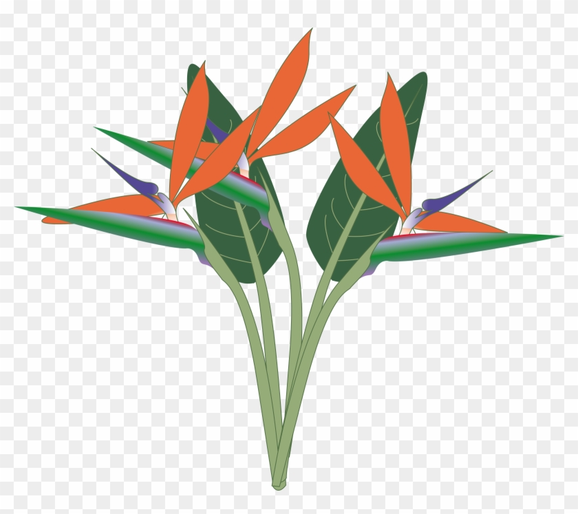 This Free Icons Png Design Of Oiseau Du Paradis - Bird Of Paradise Png Clipart