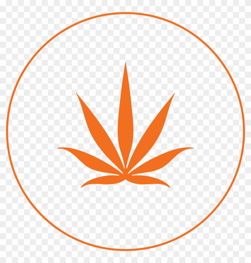 Bruce Banner Clipart