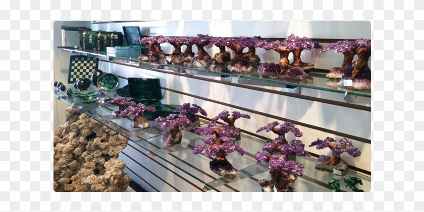 Browse Photos Of Our Amazing Selection Of Gems, Minerals, - Bouquet Clipart #5802716