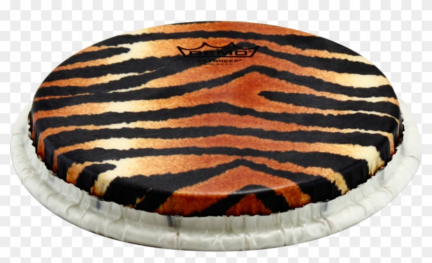 Remo Tucked Skyndeep Bongo Drumhead-tiger Stripe Graphic, - M9 0850 S5 Sd007 Clipart #5803995