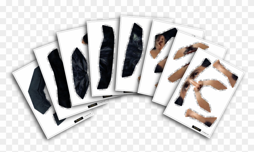 Package Front Cover Package Back Cover Nikola Tesla - Flyer Clipart