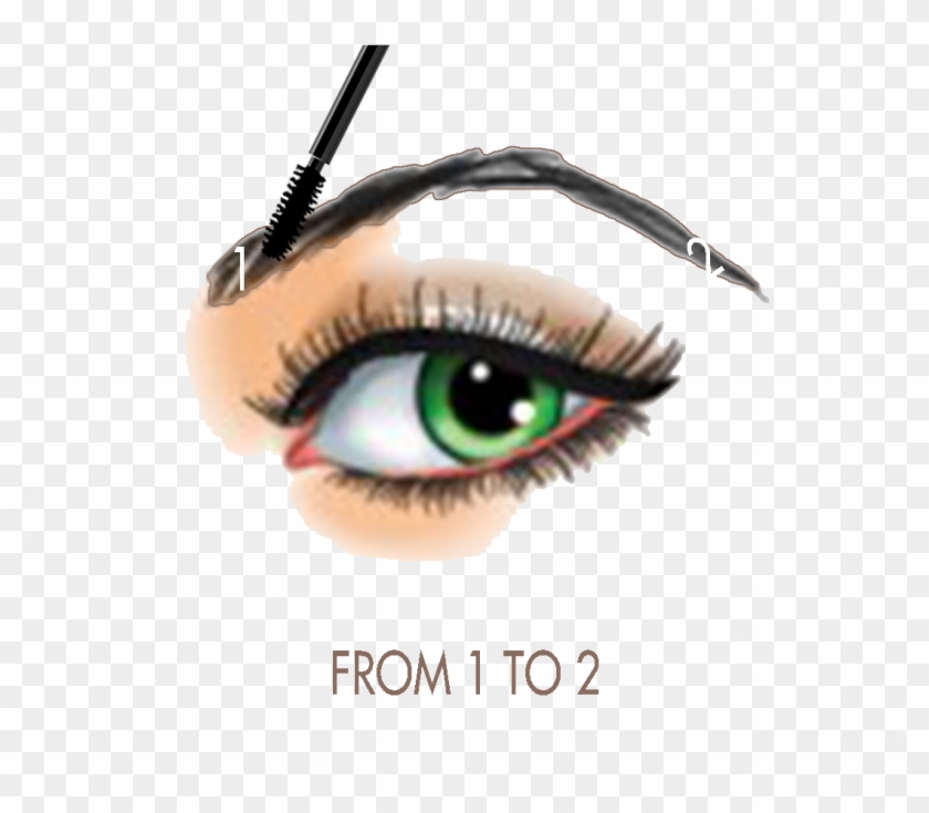 Clip Transparent Library Huge Freebie Art - Eye Liner - Png Download #5806529