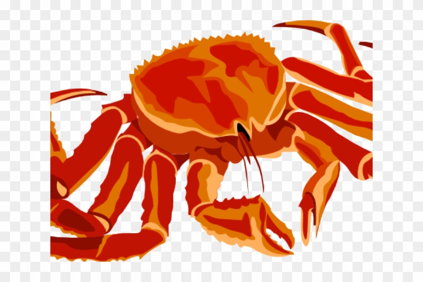 Seafood Clipart Spider Crab - Png Download #5806921