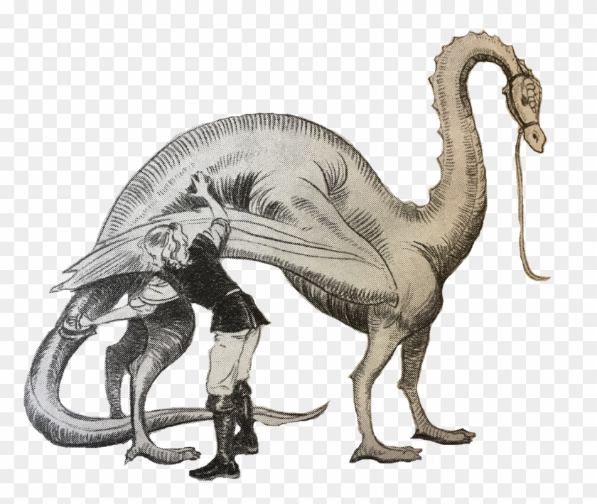 Beginning At The Head, Wash All Mud And Dust From The - Illustration Clipart