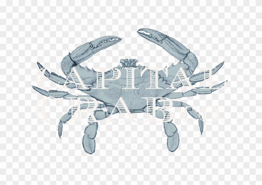 Capital Crab - Co - Crab Clipart #5807454
