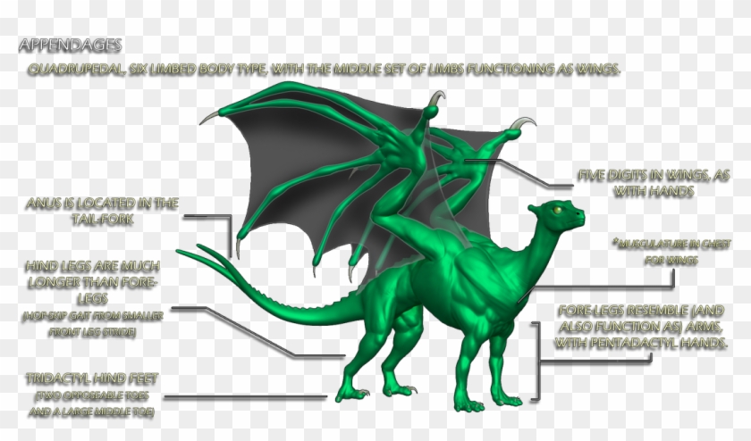Pern Dragons Clipart #5807910