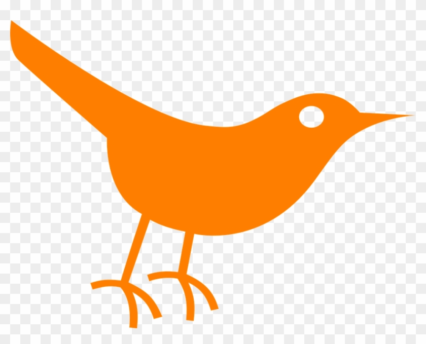 Bird Twitter Orange Sparrow Pigeon Dove - Twitter Bird Icon Clipart #5810561