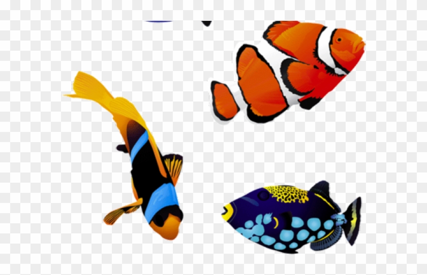Aquarium Fish Png Clipart #5810658