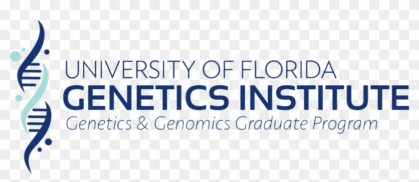 Download Grad Graphic Identifier - Geves Clipart