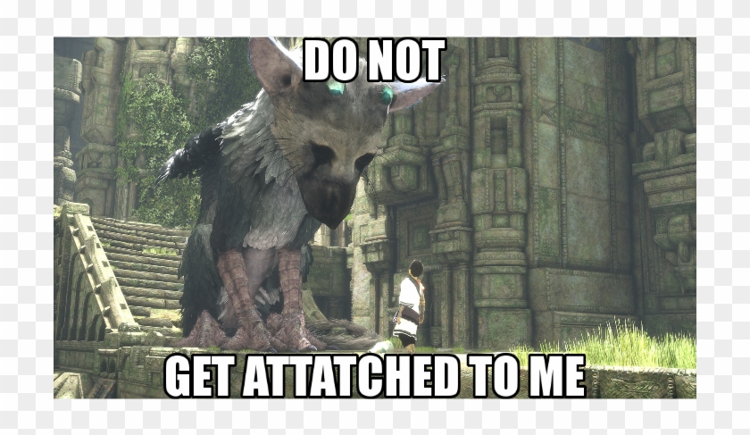 [the Last Guardian] Knowing That This Game Takes Place - Last Guardian Jacksepticeye Meme Clipart